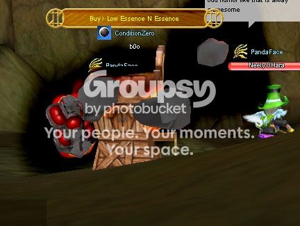 User Image